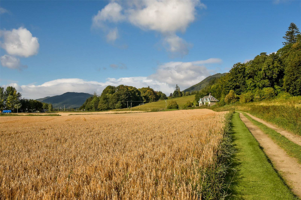 A well cared for crop of Barley and Middle Lodge